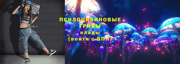 тгк Новокубанск