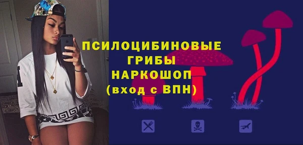 тгк Новокубанск