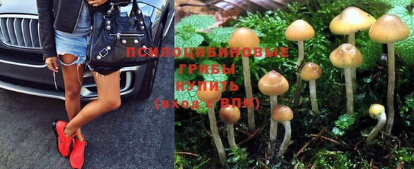 mdpv Новодвинск