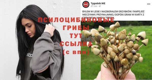 mdpv Новодвинск