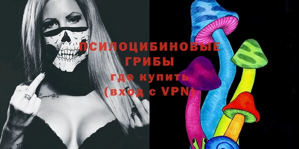 герыч Новозыбков
