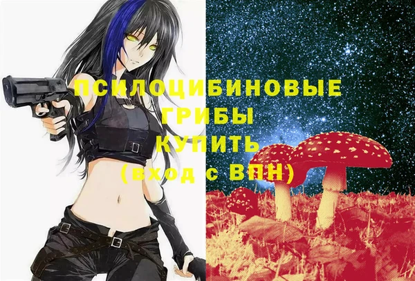 герыч Новозыбков